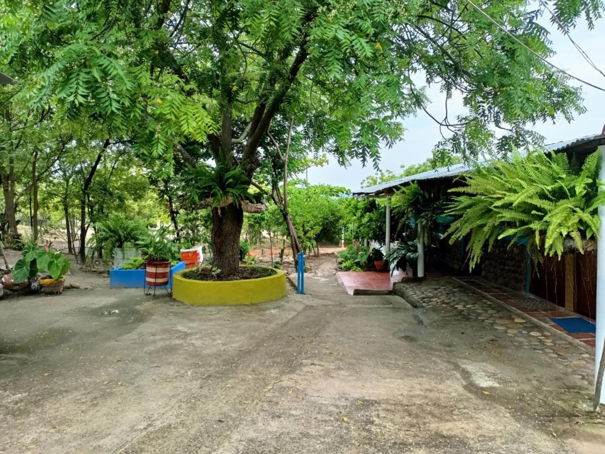 Hostal Sol De Verano Dona Lilia Villavieja Exterior foto